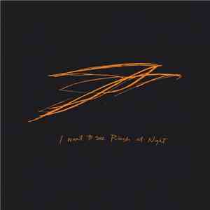 Andrew Bird - I Want To See Pulaski At Night download mp3 flac