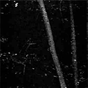 Bosque - Dead Nature download mp3 flac