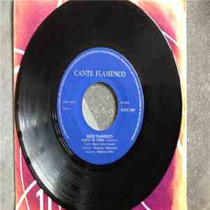 Cante Flamenco - Cante Flamenco download free