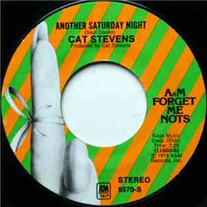 Cat Stevens - Another Saturday Night download mp3 flac