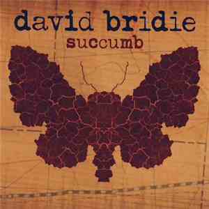 David Bridie - Succumb download mp3 flac