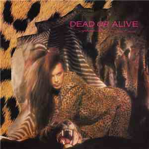 Dead Or Alive - Sophisticated Boom Boom download mp3 flac