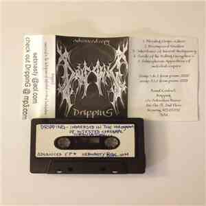 Dripping - Immersed In The Hologram Of Infested Cerebral Turbulation download mp3 flac
