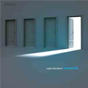 Eighth Blackbird - Meanwhile download mp3 flac