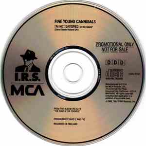 Fine Young Cannibals - I'm Not Satisfied download free