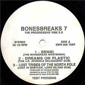 Frankie Bones - The Progressive Vibe E.P. download mp3 flac