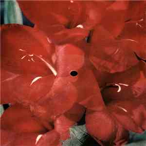 Grupa Skifflowa No To Co - Opolskie Dziouchy download free