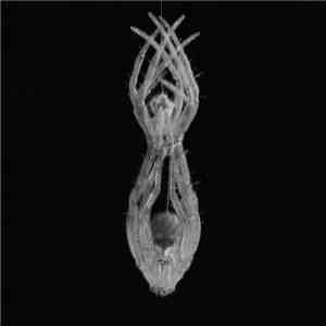 HRDVLTM - Macto Mors Mortis download mp3 flac
