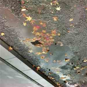 Ivodne Galatea - The Geography Of Thought download free