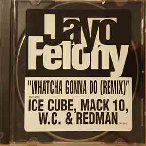 Jayo Felony - Whatcha Gonna Do (Remix) download free