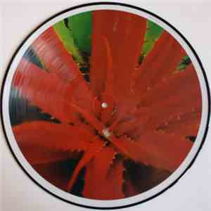Jejune - This Afternoons Malady download free