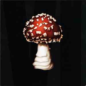 J.O. The Last Man - The Mushroom Chronicles VI download mp3 flac