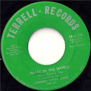 Johnny Little John - What In The World (You Gonna Do) / Can't Be Still download free