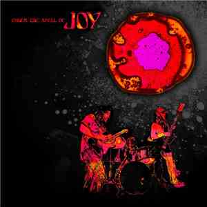 Joy  - Under The Spell Of Joy download mp3 flac