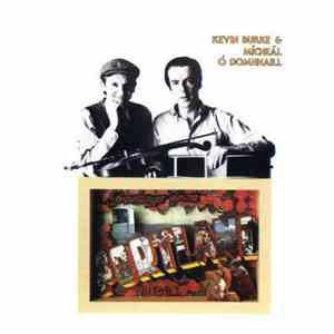 Kevin Burke  & Mícheál Ó Domhnaill - Portland download mp3 flac