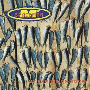 Mr Spaceman - My Exhibition Room download mp3 flac