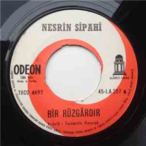 Nesrin Sipahi - Bir Rüzgardır / O Ceylan Bakışlara download free