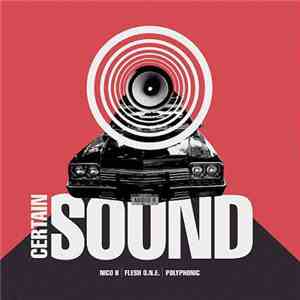 Nico B  / Flesh O.N.E. / Polyphonic - Certain Sound download mp3 flac