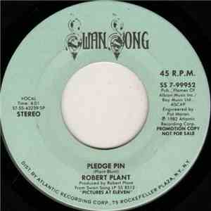 Robert Plant - Pledge Pin download mp3 flac