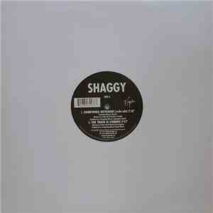 Shaggy - Something Different download free