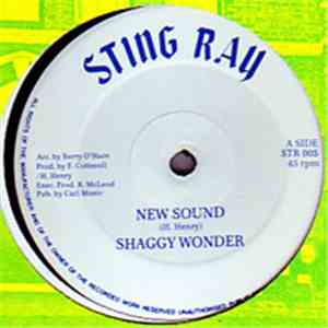 Shaggy Wonder - New Sound download free