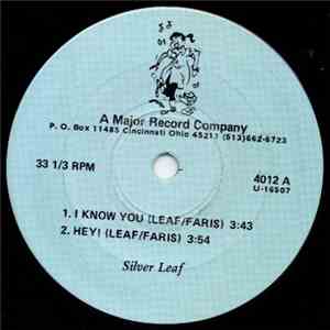 Silver Leaf - I Know You / Hey / In the Dark / Can We Rebuild Our City download free