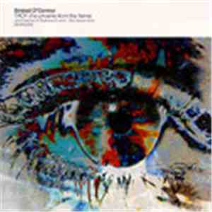 Sinéad O'Connor - Troy (The Phoenix From The Flame) download mp3 flac