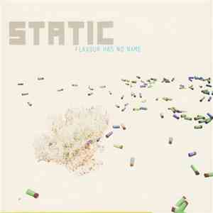 Static  - Flavour Has No Name download free