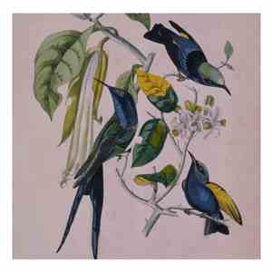 Susumu Yokota - Sakura download mp3 flac