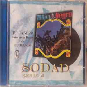 Tulipa Negra plays Bulimundo - Interpreta Temas De Bulimundo download free