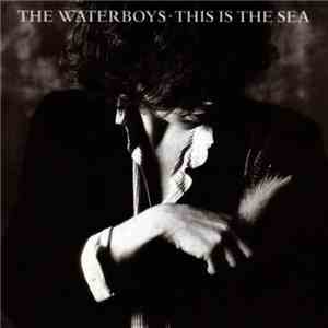 Waterboys, The - This Is The Sea download free